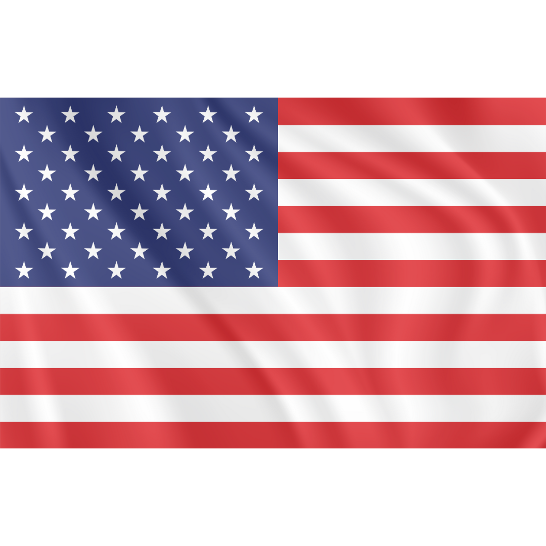Veteran Business Assistance - American Flag